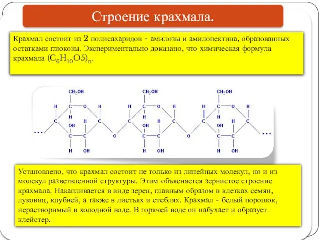 Крахмал состоит из 2 полисахаридов - амилозы и амилопектина, образованных остатками глюкозы.