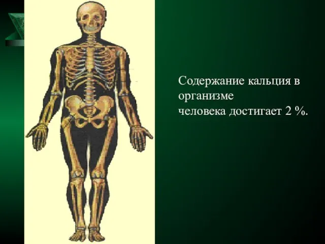 Содержание кальция в организме человека достигает 2 %.