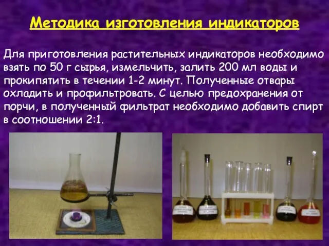 Методика изготовления индикаторов Для приготовления растительных индикаторов необходимо взять по 50 г