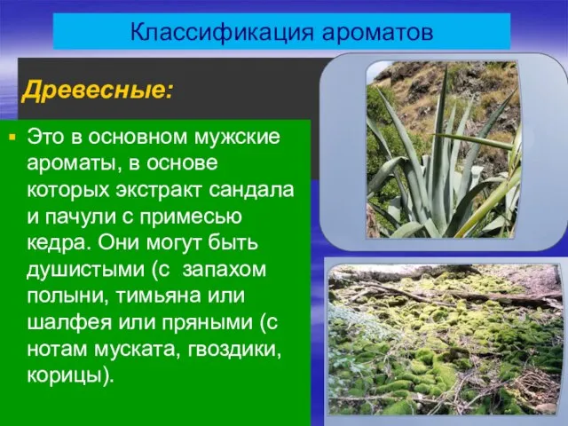 Древесные: Это в основном мужские ароматы, в основе которых экстракт сандала и