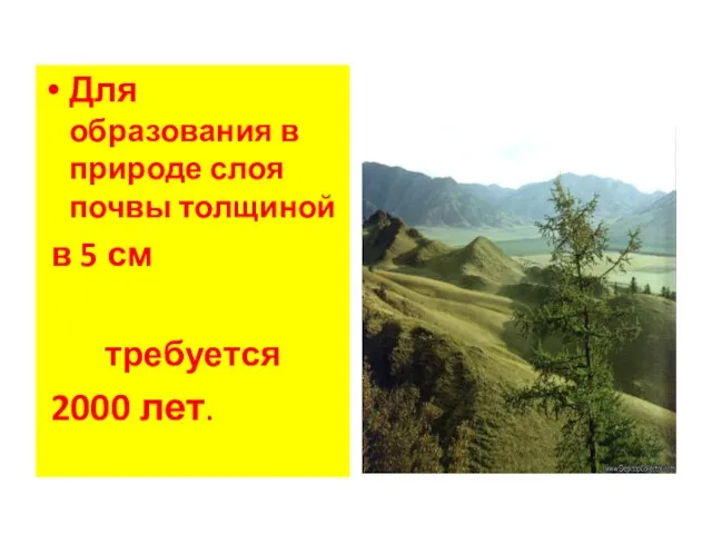 Для образования в природе слоя почвы толщиной в 5 см требуется 2000 лет.