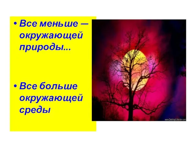 Все меньше — окружающей природы... Все больше окружающей среды