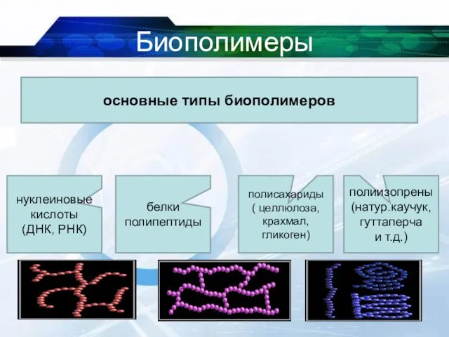 Биополимеры * основные типы биополимеров нуклеиновые кислоты (ДНК, РНК) белки полипептиды полисахариды