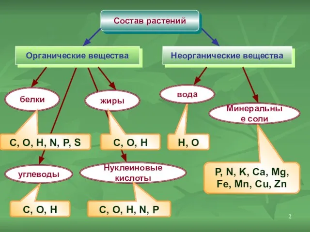 Состав растений Органические вещества Неорганические вещества белки жиры углеводы Нуклеиновые кислоты H,