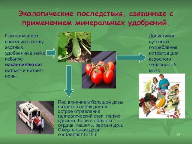 Экологические последствия, связанные с применением минеральных удобрений. Допустимое суточное потребление нитратов для