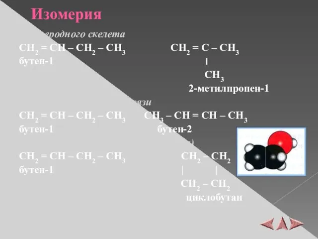 Изомерия 1) углеродного скелета CH2 = CH – CH2 – CH3 CH2