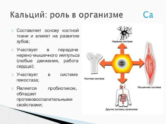 Составляет основу костной ткани и влияет на развитие зубов; Участвует в передаче