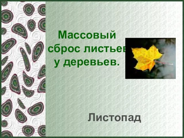 Массовый сброс листьев у деревьев. Листопад