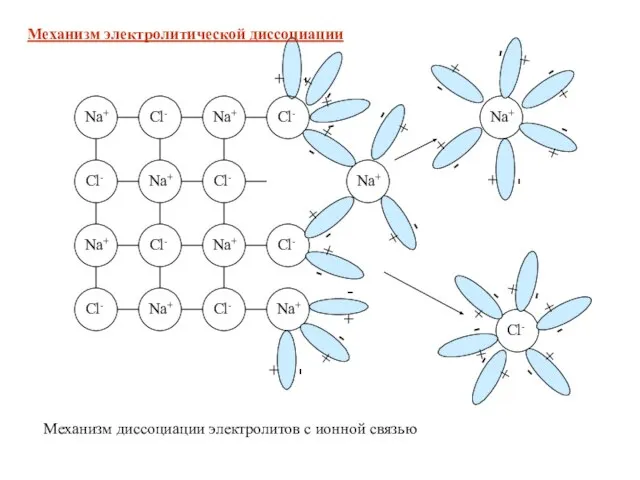 + - Механизм диссоциации электролитов с ионной связью Механизм электролитической диссоциации