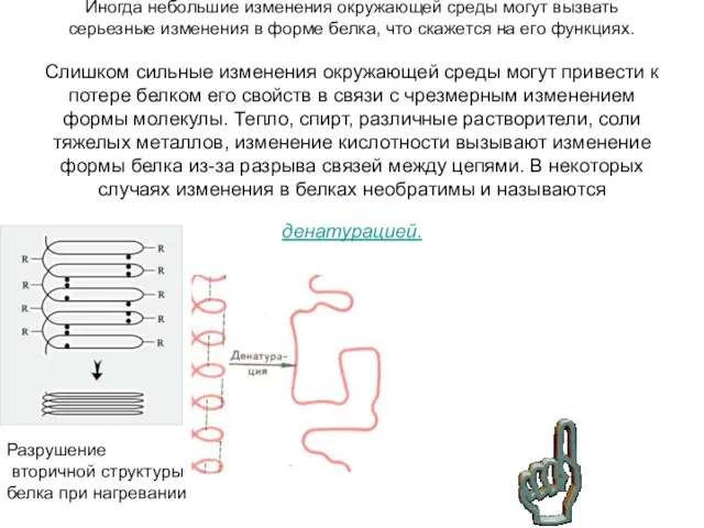 Иногда небольшие изменения окружающей среды могут вызвать серьезные изменения в форме белка,