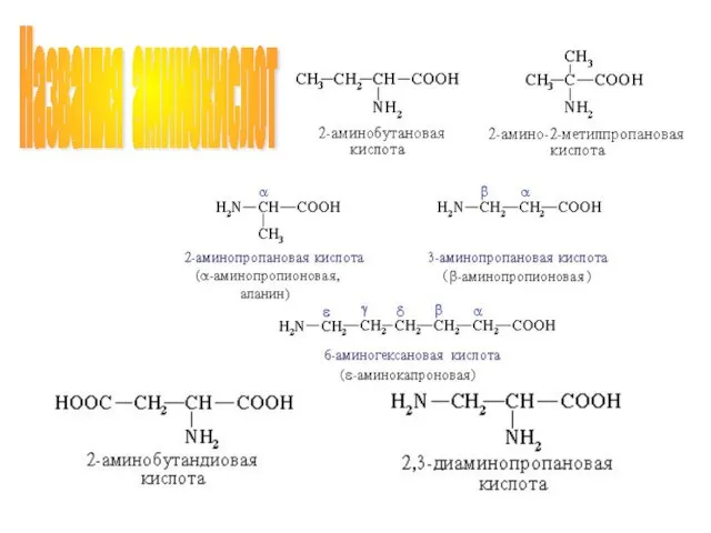 Названия аминокислот