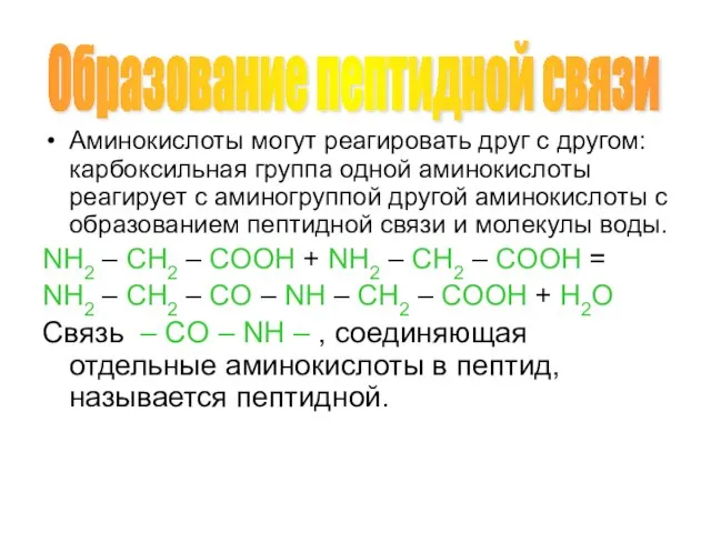 Аминокислоты могут реагировать друг с другом: карбоксильная группа одной аминокислоты реагирует с