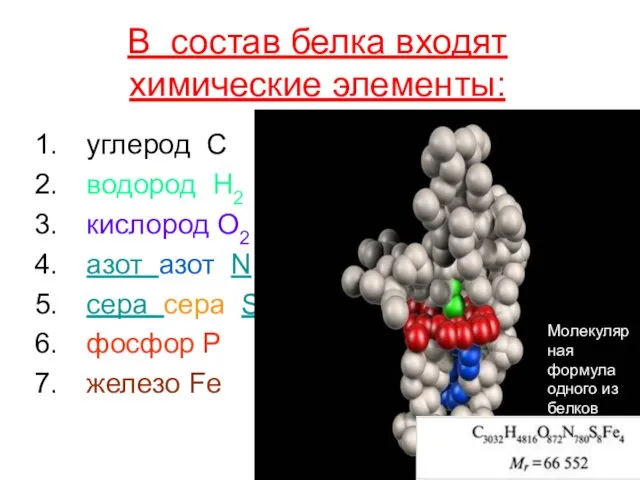 В состав белка входят химические элементы: углерод C водород H2 кислород O2