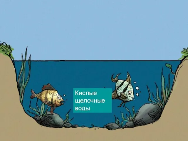 Кислые щелочные воды