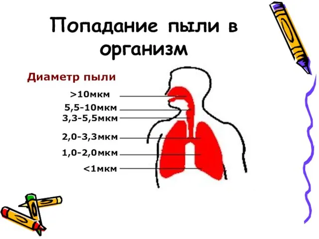 Попадание пыли в организм >10мкм 5,5-10мкм 3,3-5,5мкм 2,0-3,3мкм 1,0-2,0мкм Диаметр пыли