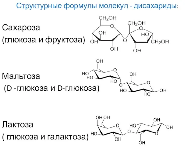 Структурные формулы молекул - дисахариды: Сахароза (глюкоза и фруктоза) Мальтоза (D -глюкоза