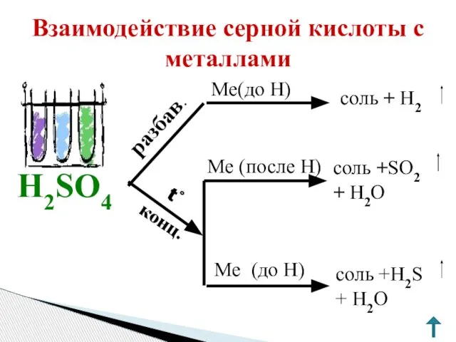 Взаимодействие серной кислоты с металлами Ме(до Н) Ме (до H) Ме (после