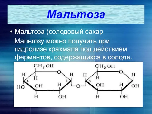 Мальтоза Мальтоза (солодовый сахар Мальтозу можно получить при гидролизе крахмала под действием ферментов, содержащихся в солоде.