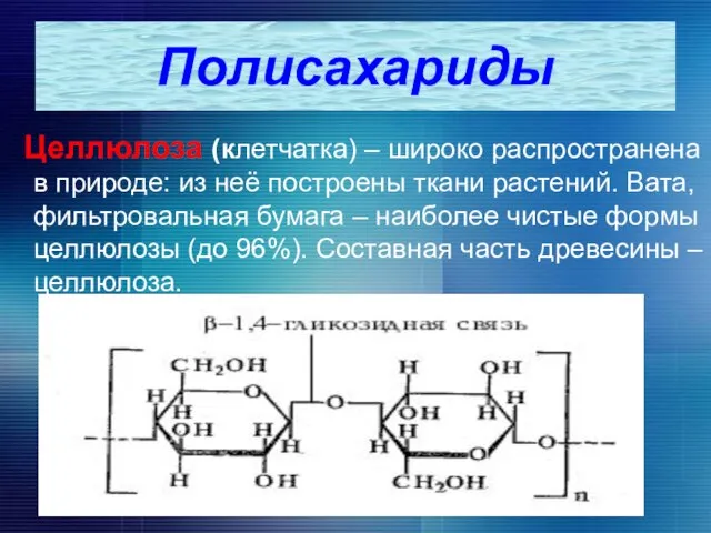 Целлюлоза (клетчатка) – широко распространена в природе: из неё построены ткани растений.