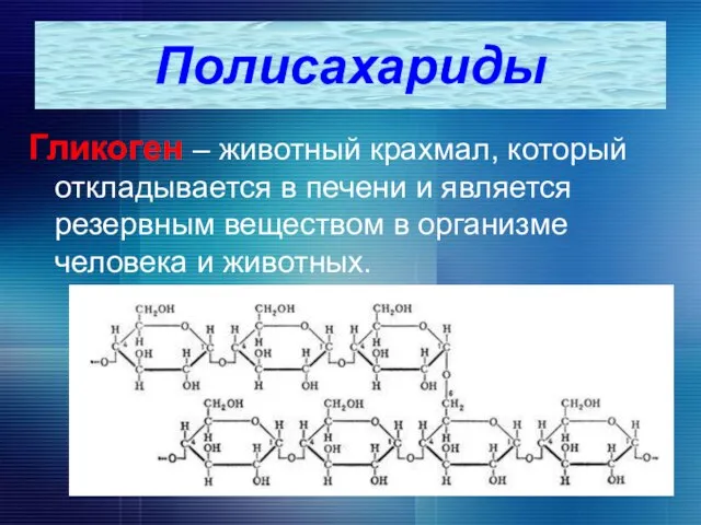 Гликоген – животный крахмал, который откладывается в печени и является резервным веществом