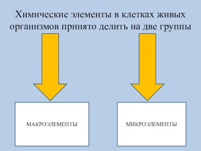 Химические элементы в клетках живых организмов принято делить на две группы МАКРОЭЛЕМЕНТЫ МИКРОЭЛЕМЕНТЫ