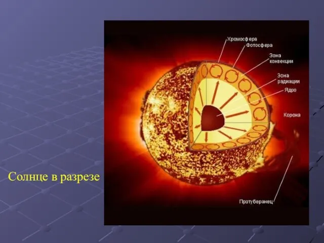 Солнце в разрезе
