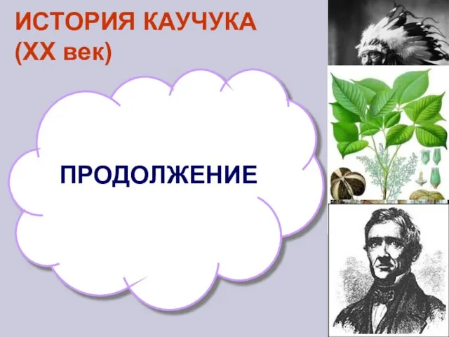 ИСТОРИЯ КАУЧУКА (XX век) ПРОДОЛЖЕНИЕ