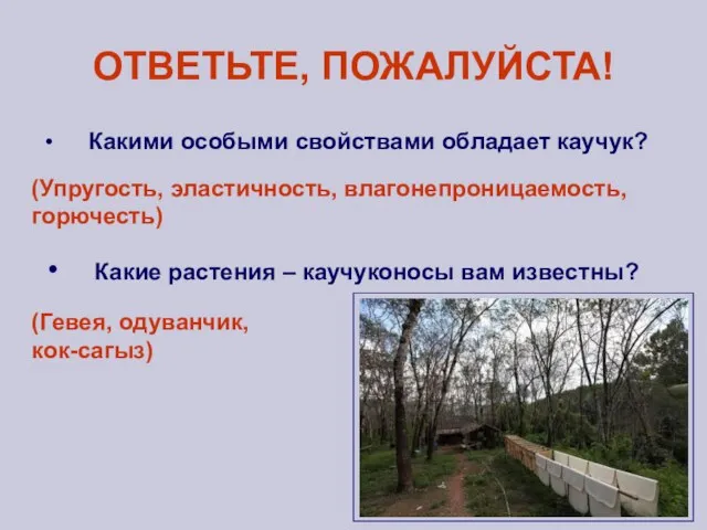 ОТВЕТЬТЕ, ПОЖАЛУЙСТА! Какими особыми свойствами обладает каучук? Какие растения – каучуконосы вам