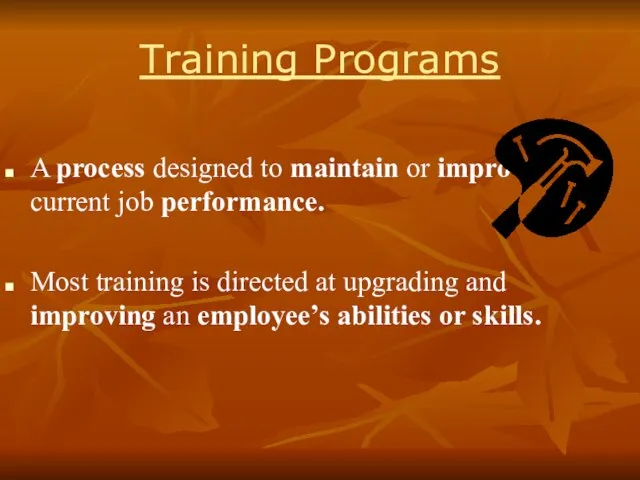 Training Programs A process designed to maintain or improve current job performance.