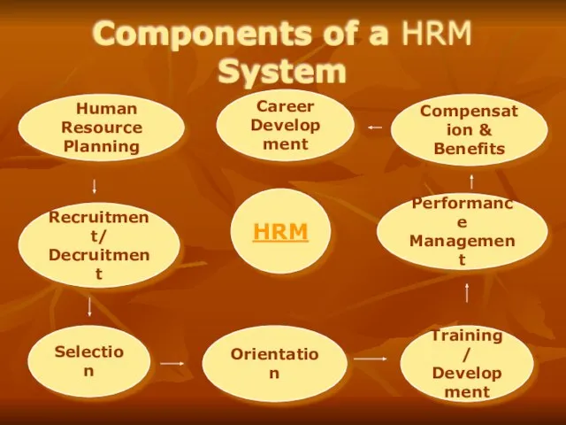 Components of a HRM System Recruitment/ Decruitment Training/ Development Compensation & Benefits