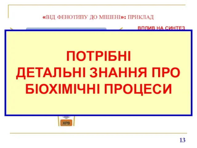 «ВІД ФЕНОТИПУ ДО МІШЕНІ»: ПРИКЛАД ВПЛИВ НА СИНТЕЗ РНК, протеїнів чи ДНК?