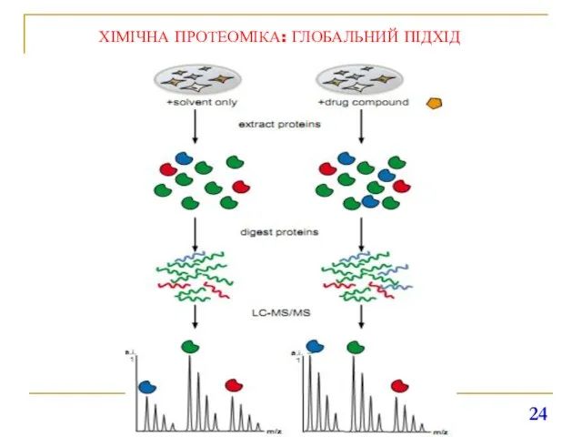 ХІМІЧНА ПРОТЕОМІКА: ГЛОБАЛЬНИЙ ПІДХІД