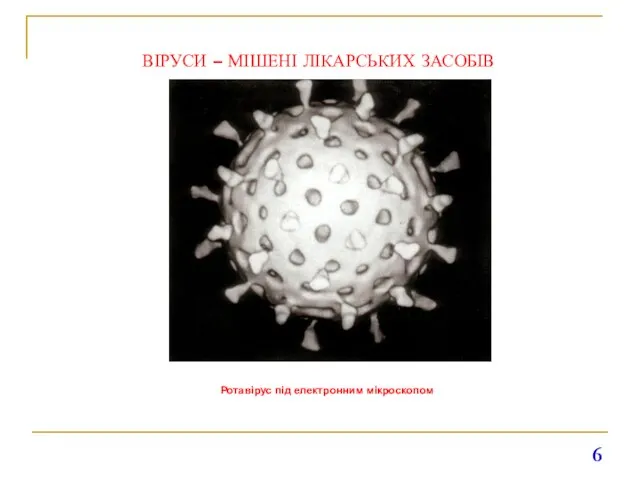 ВІРУСИ – МІШЕНІ ЛІКАРСЬКИХ ЗАСОБІВ Ротавірус під електронним мікроскопом