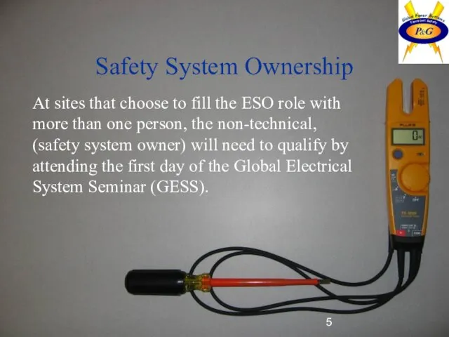 Safety System Ownership At sites that choose to fill the ESO role