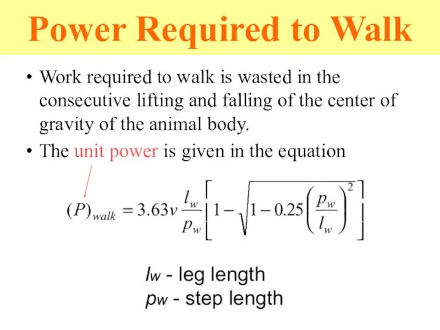 Power Required to Walk Work required to walk is wasted in the
