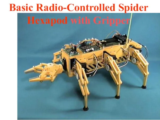 Basic Radio-Controlled Spider Hexapod with Gripper