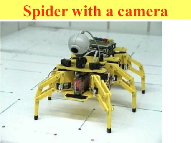 Spider with a camera