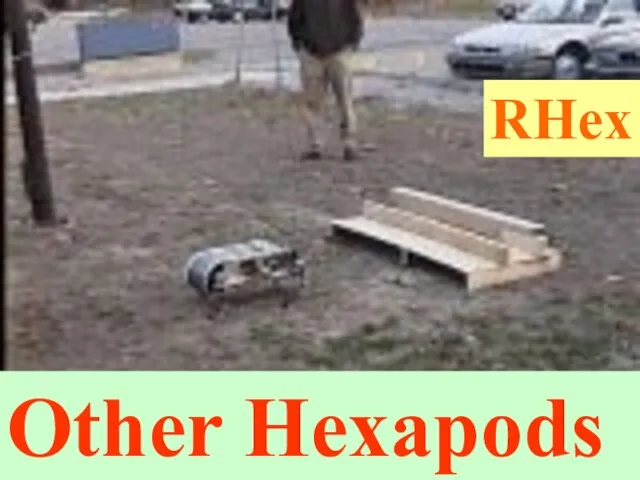 RHex RHex Other Hexapods