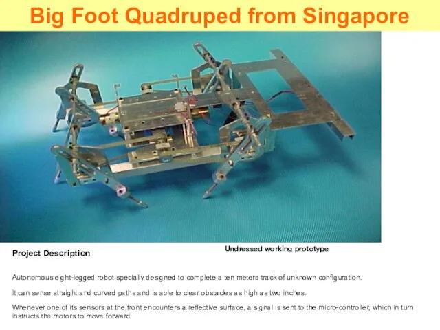 Project Description Autonomous eight-legged robot specially designed to complete a ten meters