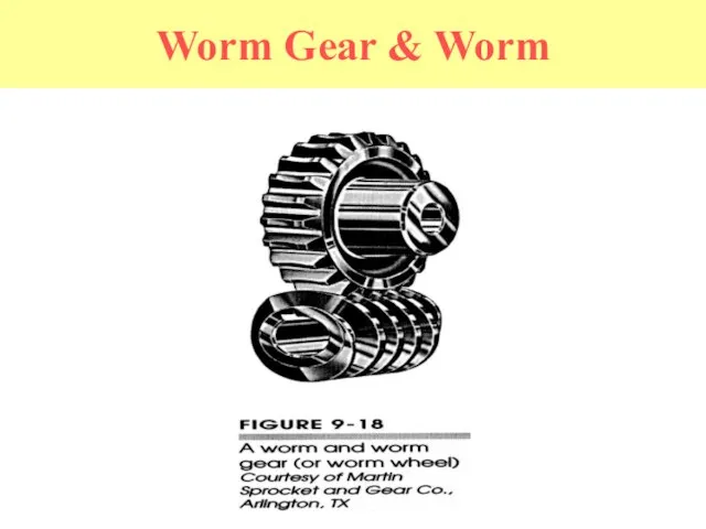 Worm Gear & Worm