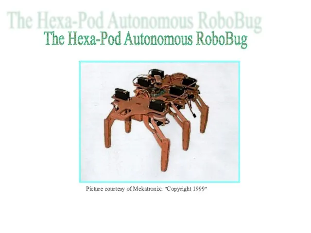 The Hexa-Pod Autonomous RoboBug Picture courtesy of Mekatronix: "Copyright 1999"