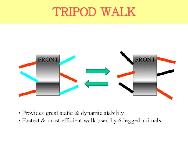 TRIPOD WALK FRONT FRONT Provides great static & dynamic stability Fastest &