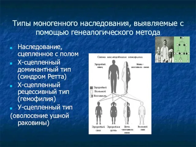 Типы моногенного наследования, выявляемые с помощью генеалогического метода Наследование, сцепленное с полом