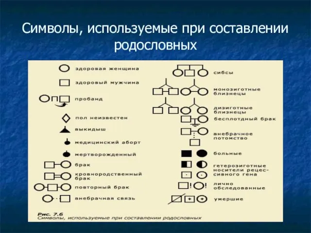 Символы, используемые при составлении родословных