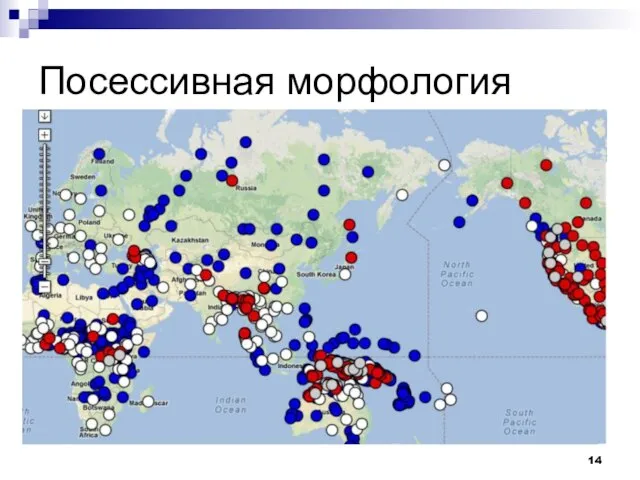 Посессивная морфология