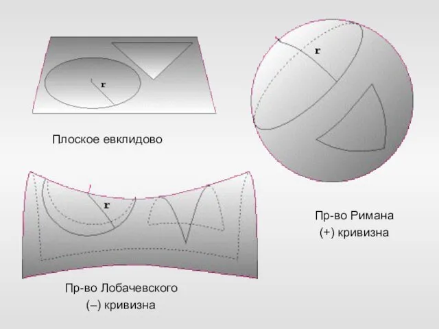 Пр-во Римана (+) кривизна Пр-во Лобачевского (–) кривизна Плоское евклидово