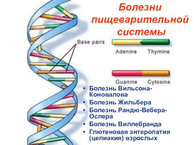Болезнь Вильсона-Коновалова Болезнь Жильбера Болезнь Рандю-Вебера-Ослера Болезнь Виллебранда Глютеновая энтеропатия (целиакия) взрослых Болезни пищеварительной системы