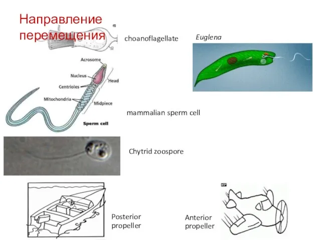 Направление перемещения