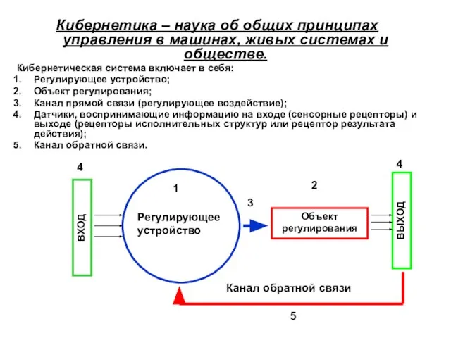 Кибернетика – наука об общих принципах управления в машинах, живых системах и