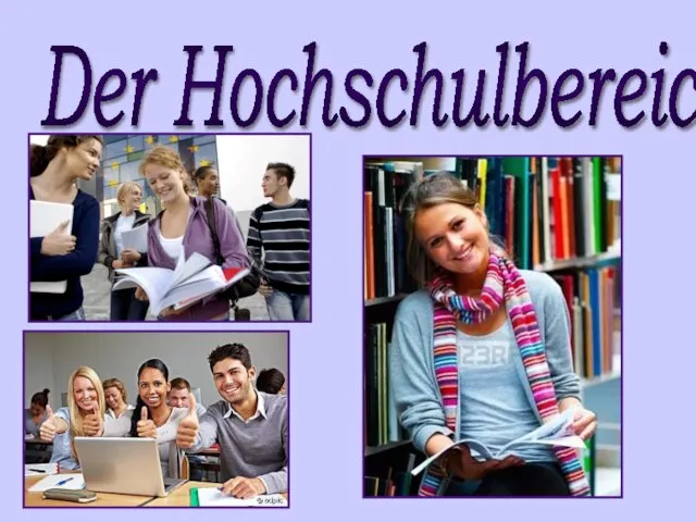 Der Hochschulbereich